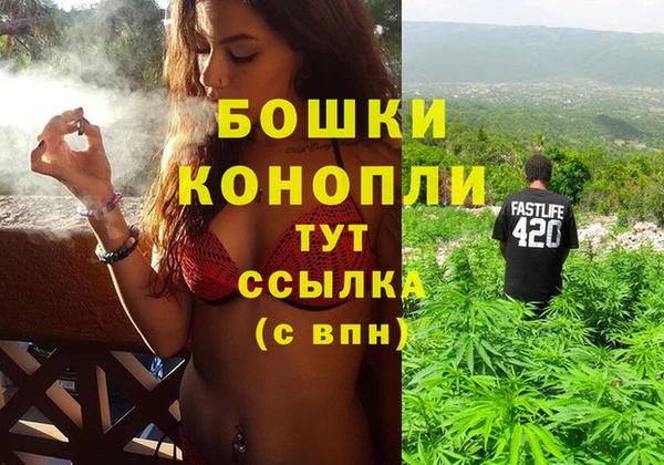 прущие грибы Арсеньев