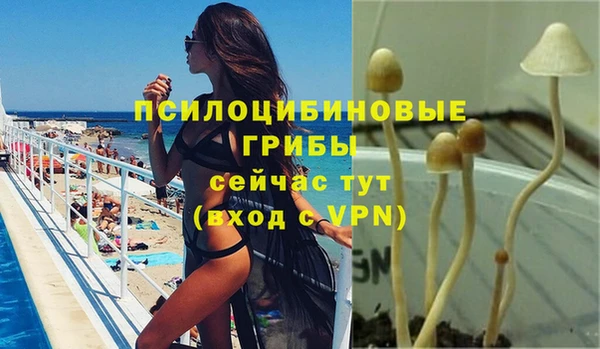 прущие грибы Арсеньев