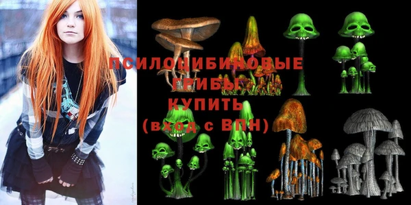 прущие грибы Арсеньев