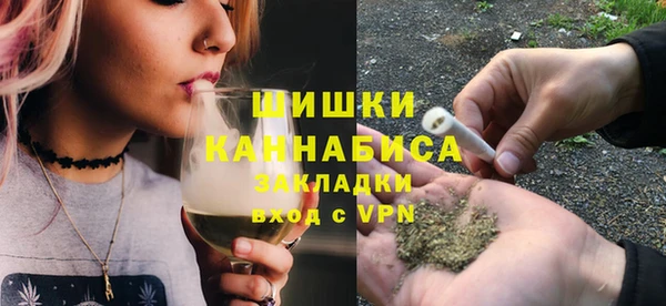 прущие грибы Арсеньев
