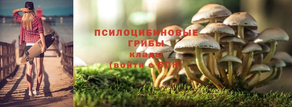 прущие грибы Арсеньев