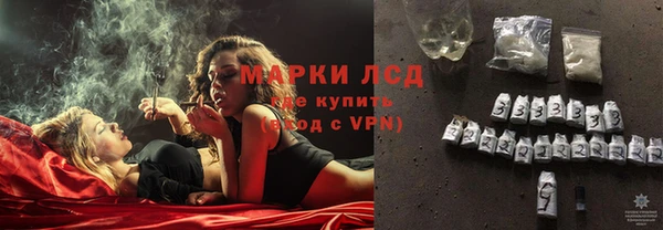 прущие грибы Арсеньев