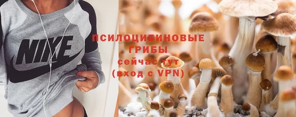 прущие грибы Арсеньев