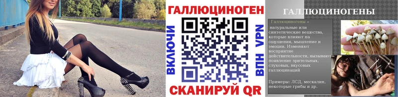 Псилоцибиновые грибы мицелий  Тында 